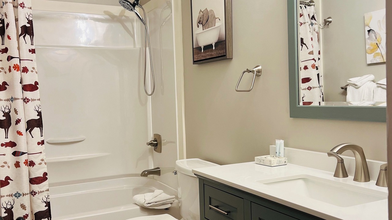 Photo of Bathroom in Bartlett