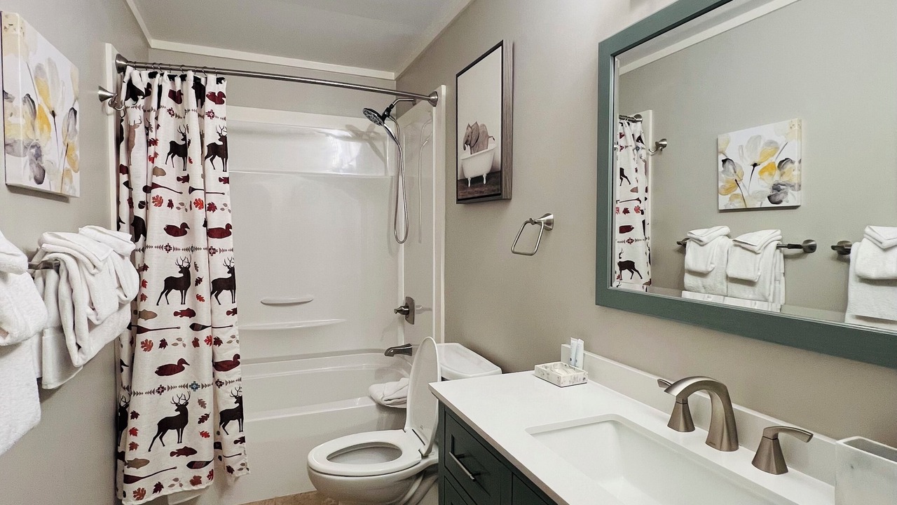 Photo of Bathroom in Bartlett