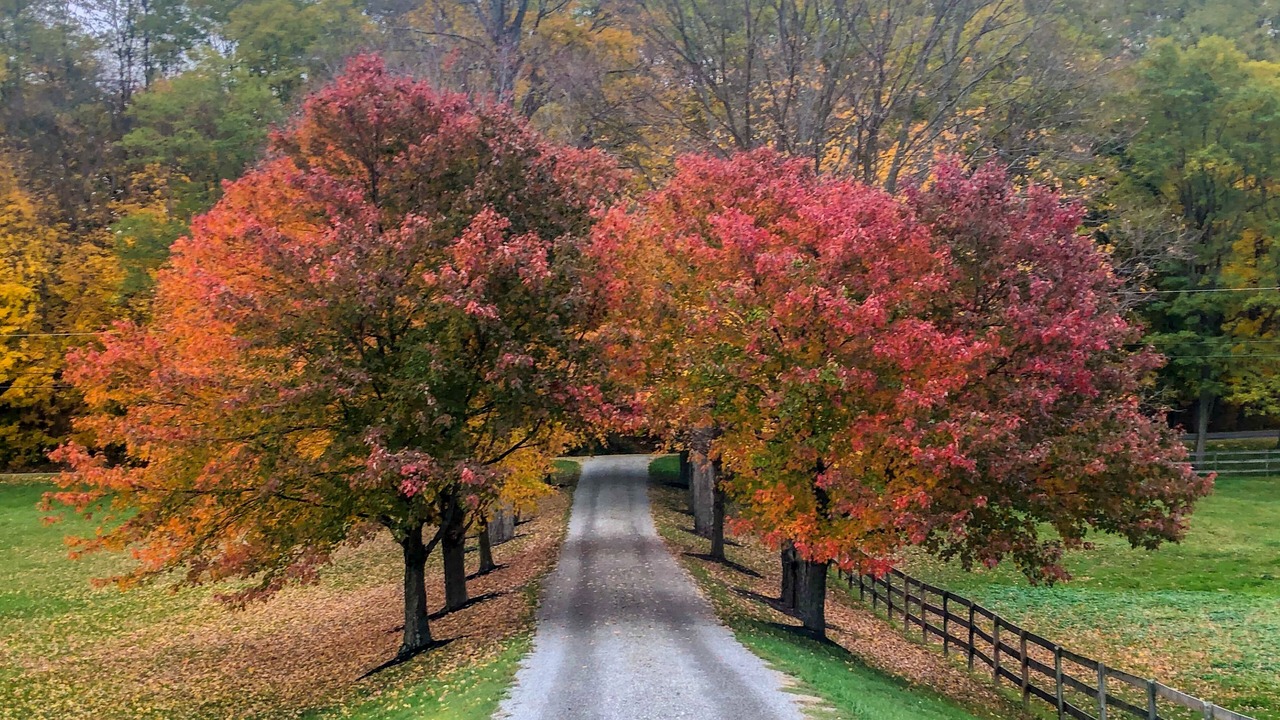 Photo of Outdoor in Pine Plains