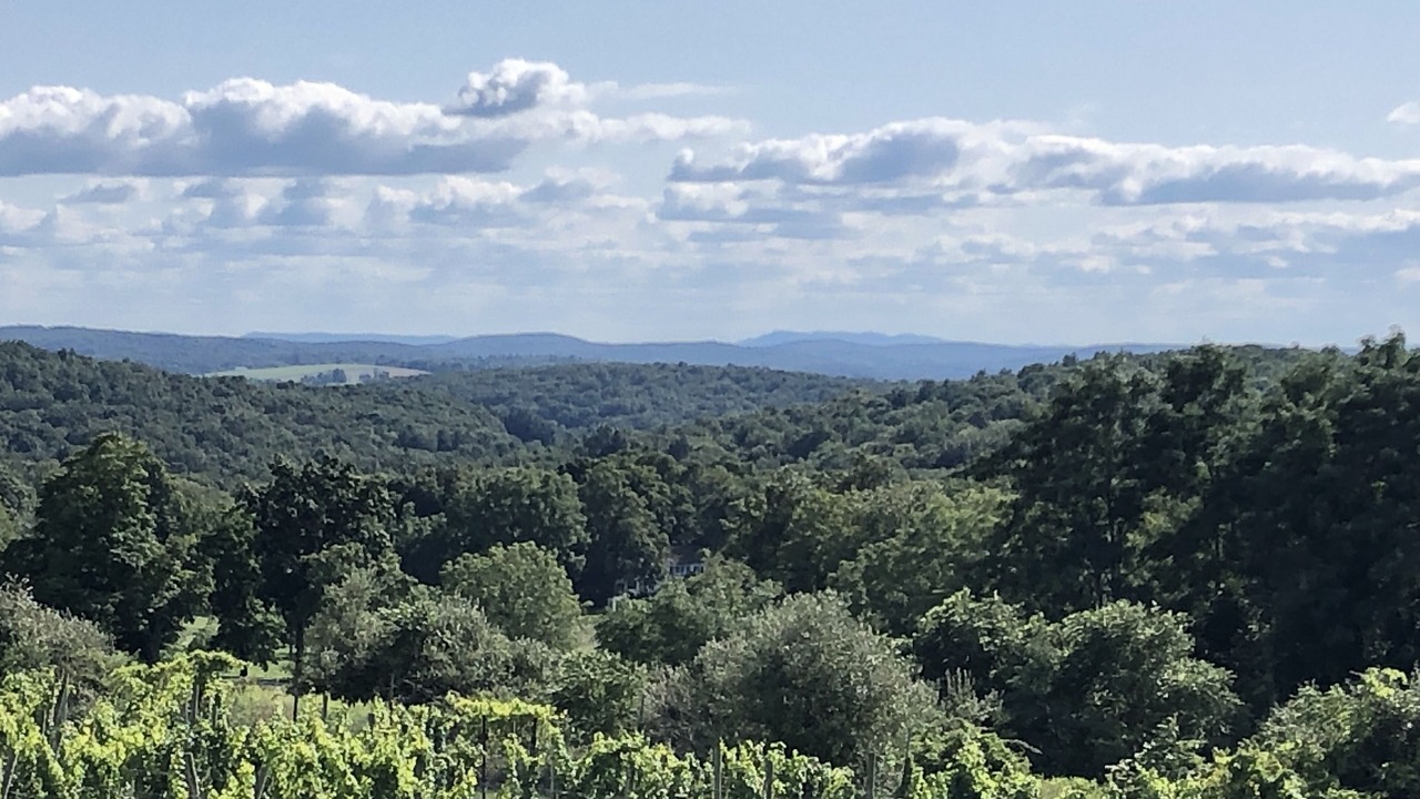 Photo of Others in Pine Plains