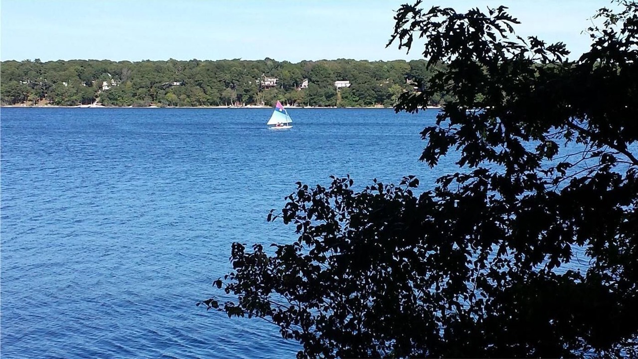 Photo of Others in East Falmouth