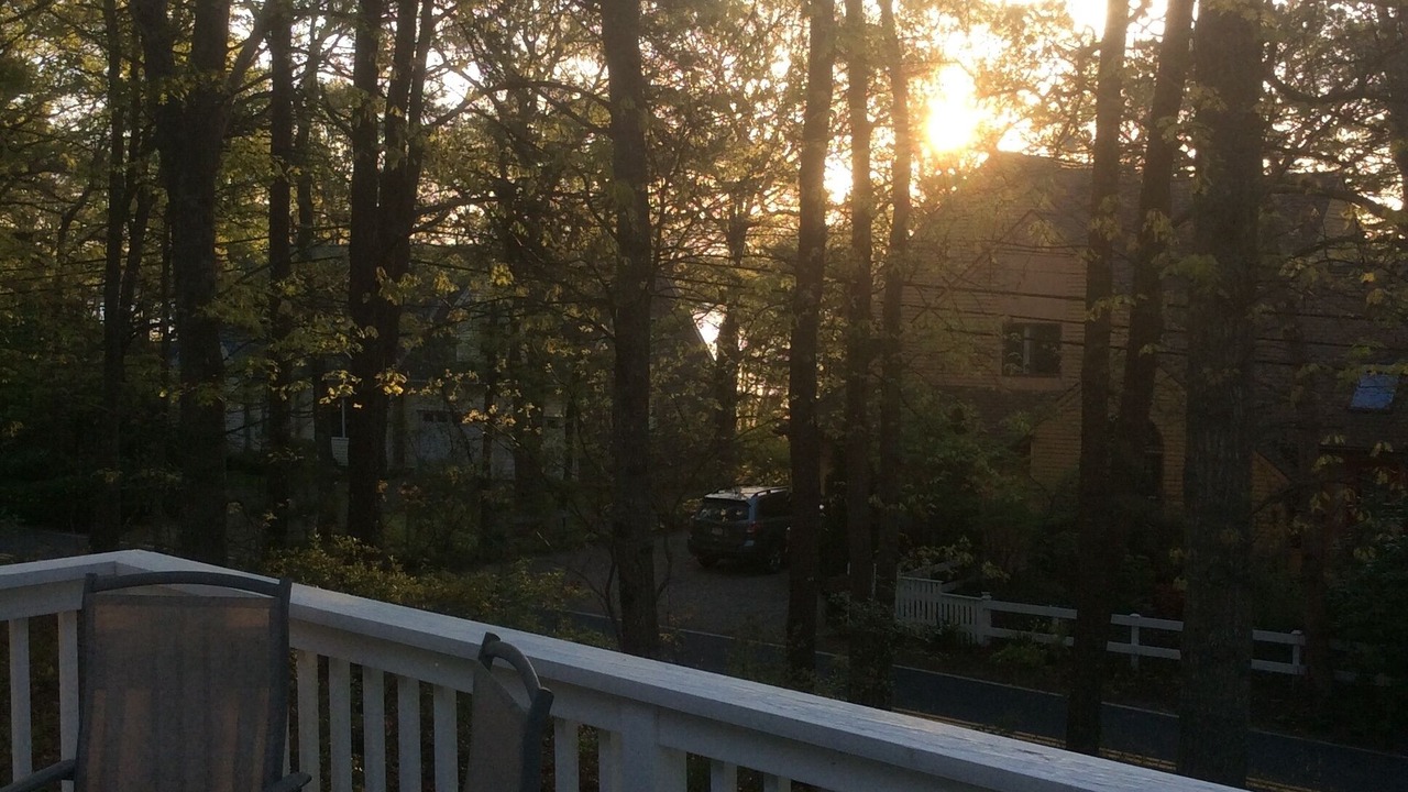 Photo of Outdoor in East Falmouth