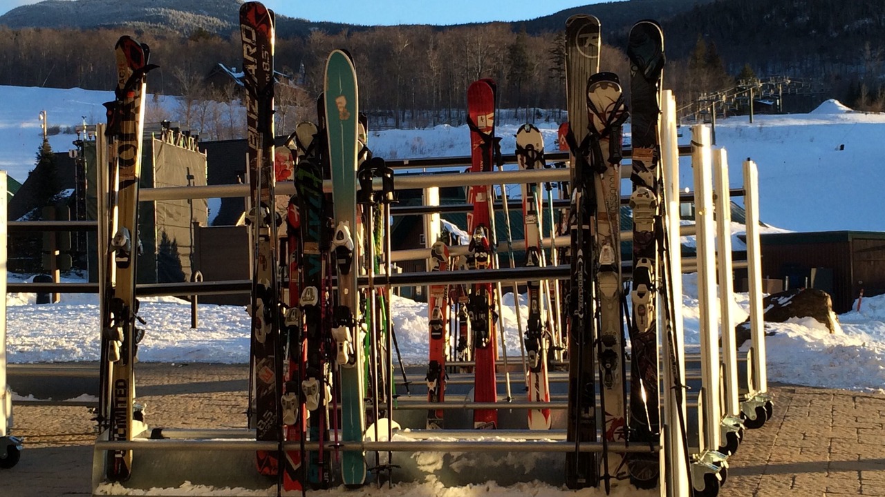 Photo of Others in Stowe Area