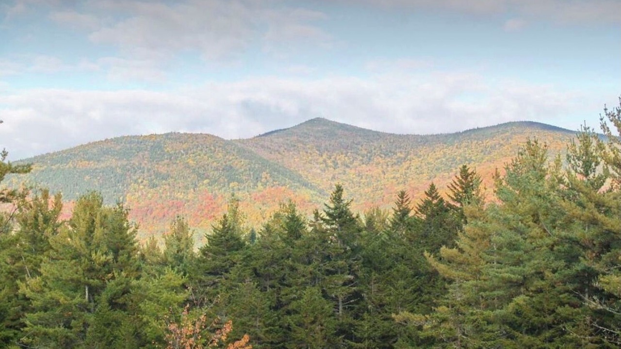 Photo of Others in Twin Mountain