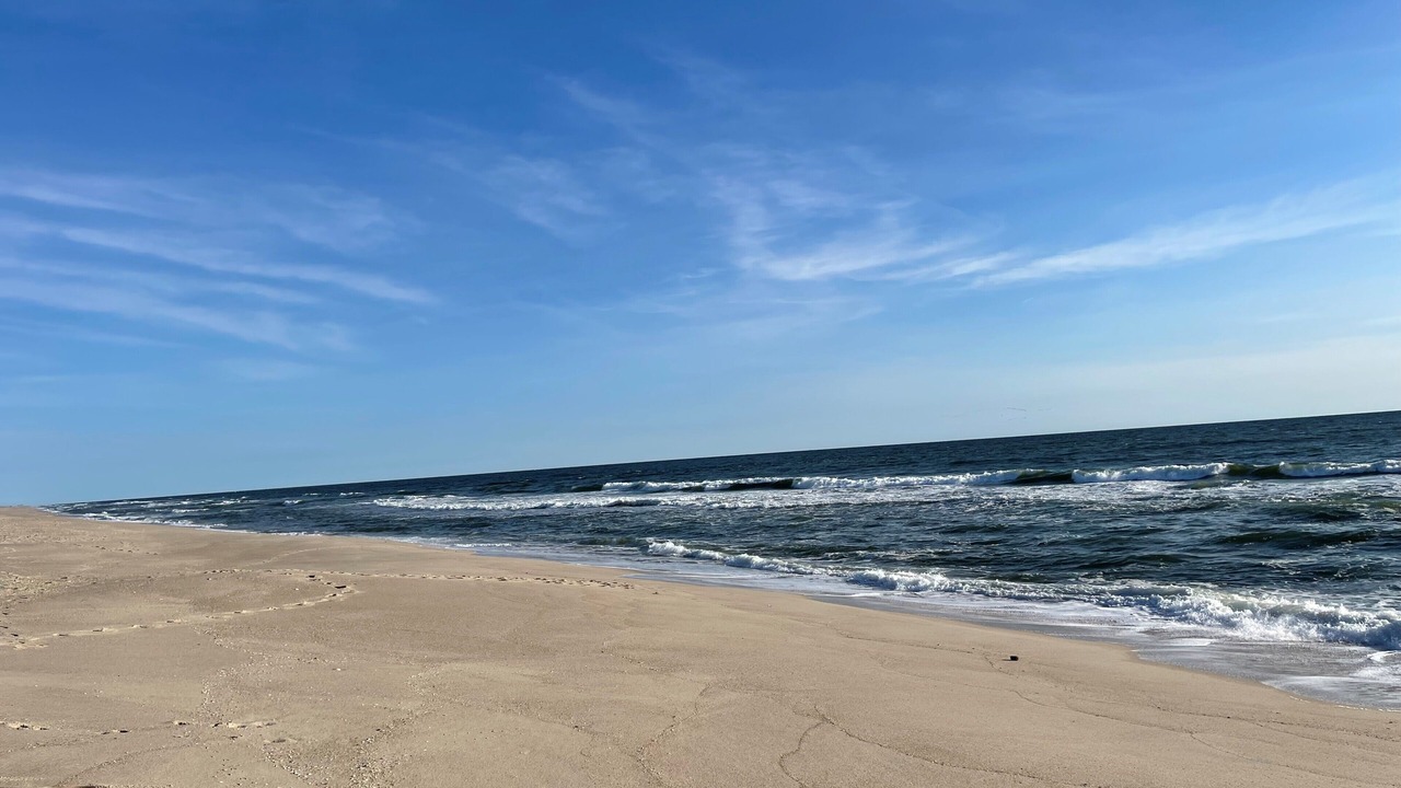 Photo of Others in Normandy Beach