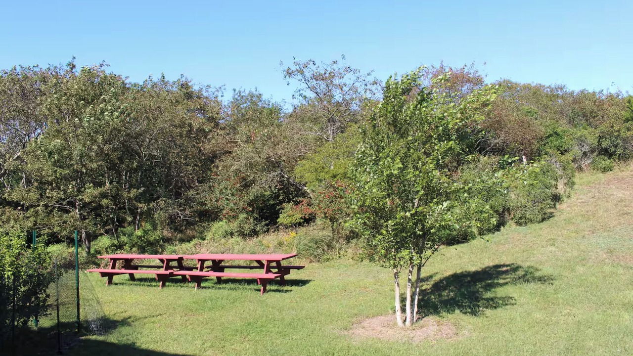 Photo of Outdoor in Block Island