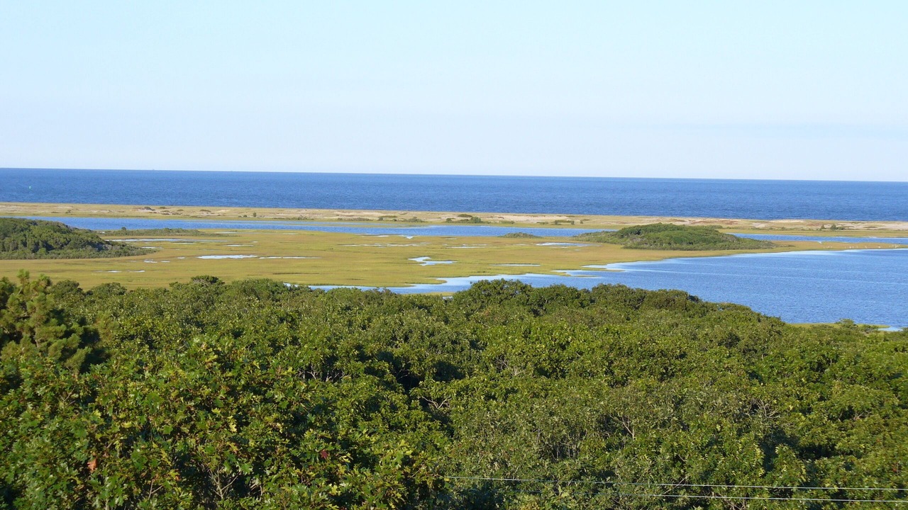 Photo of Others in Edgartown