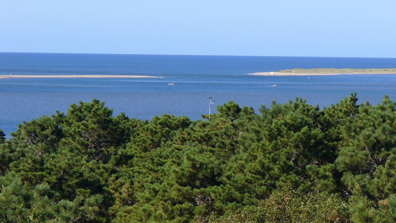 Photo of Others in Edgartown