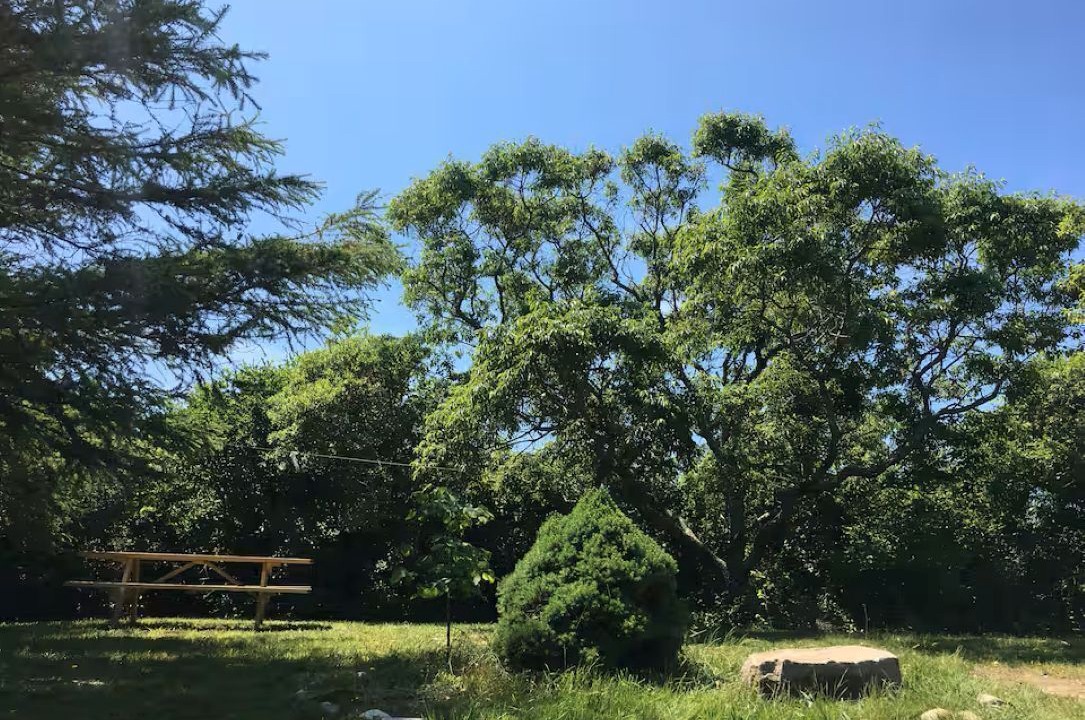 Photo of Outdoor in Block Island