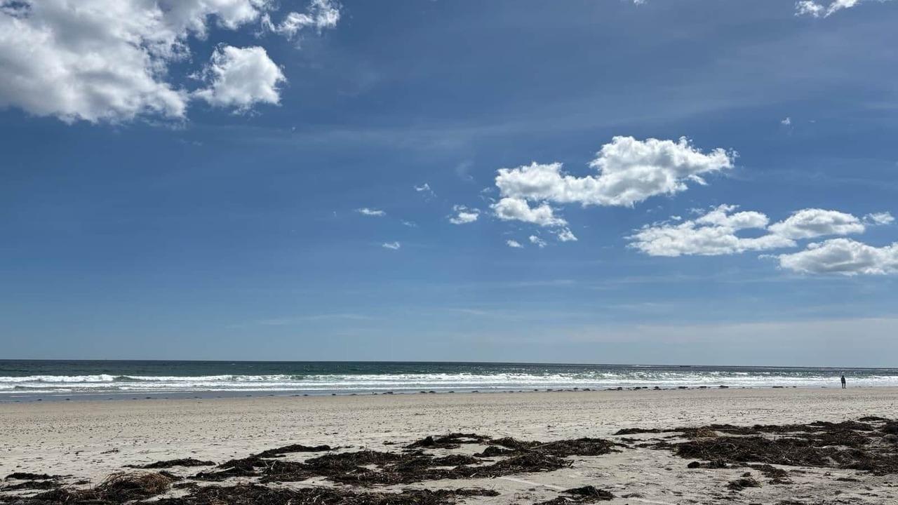 Photo of Others in Wells Beach