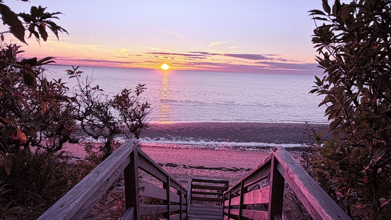 Photo of Others in North Eastham