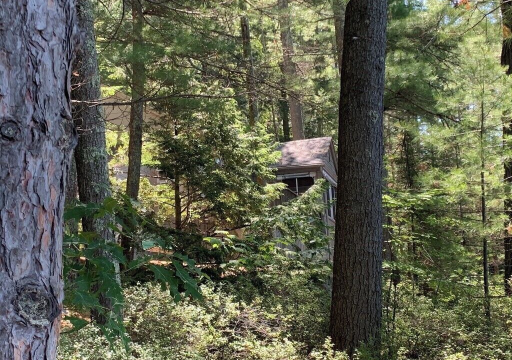 Photo of Outdoor in Melvin Village