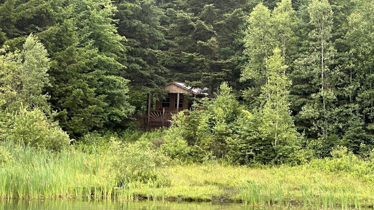 Photo of Outdoor in Barton