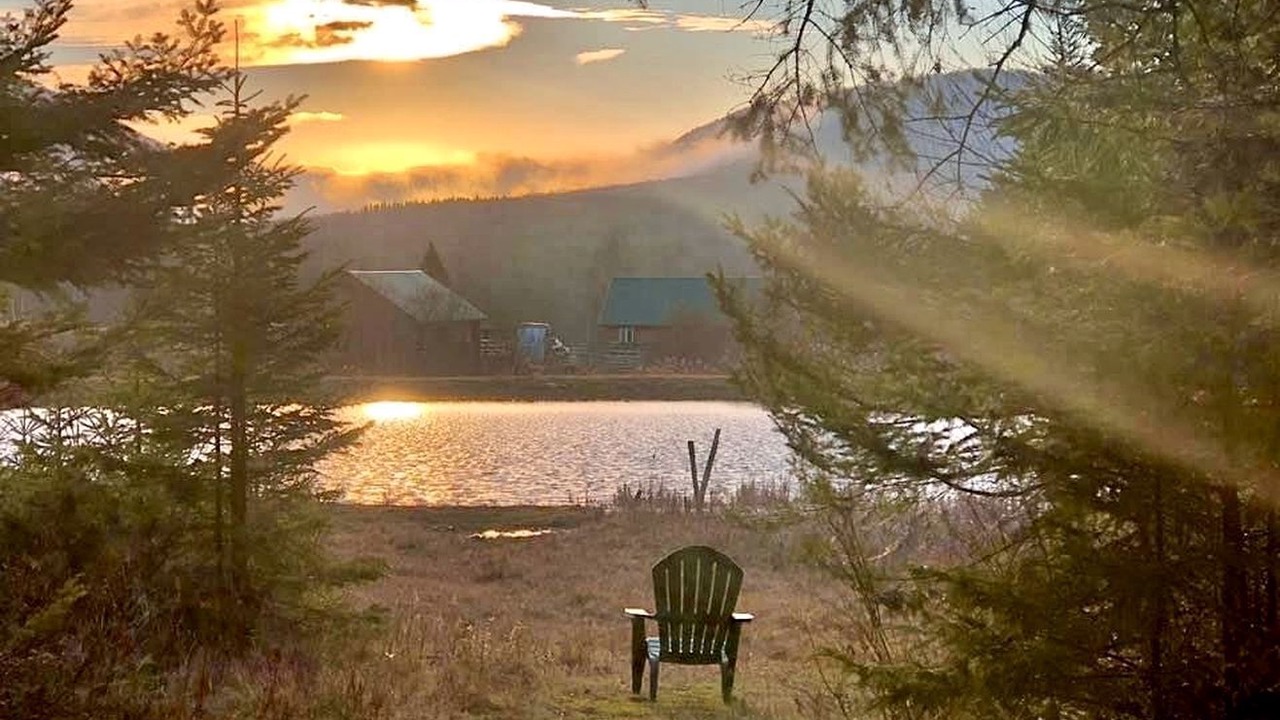 Photo of Outdoor in Barton