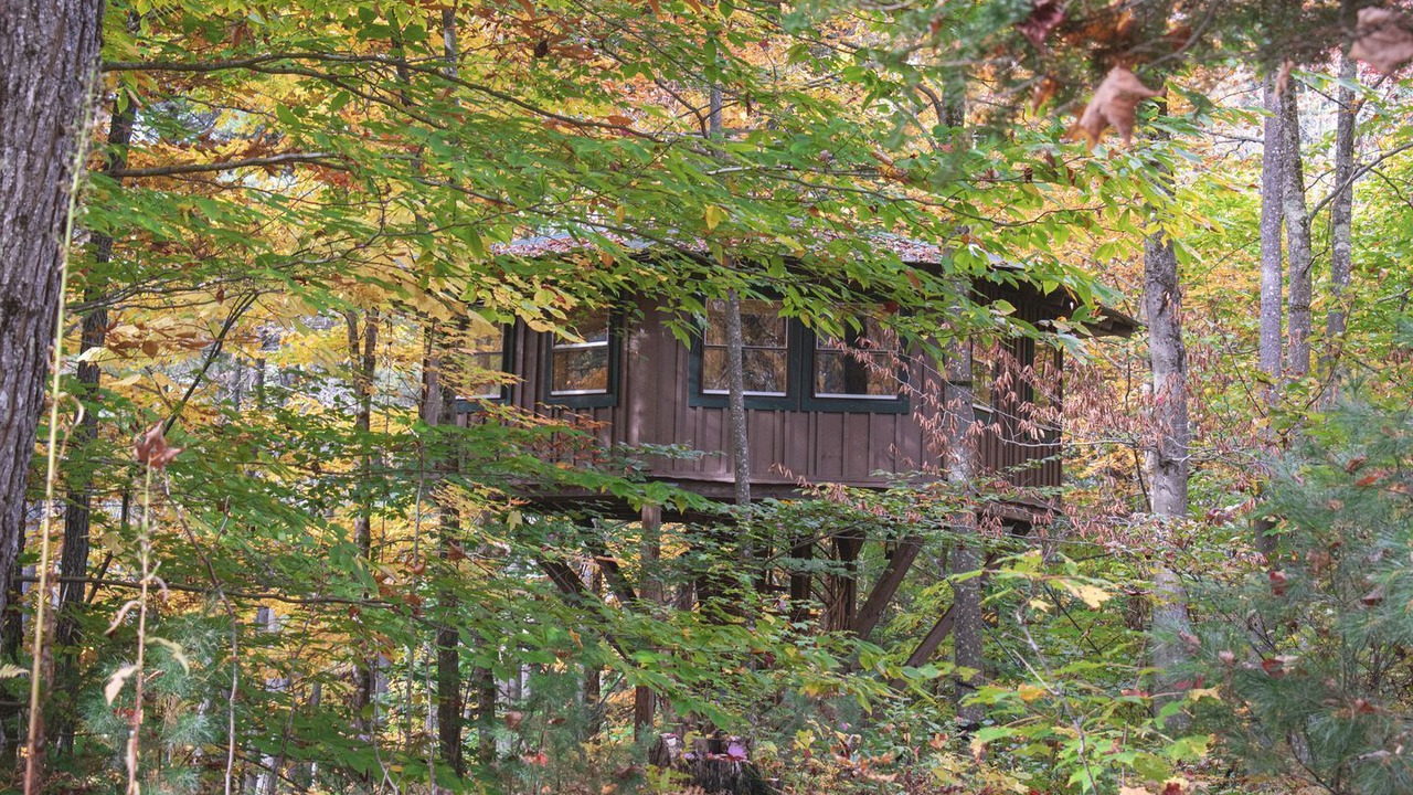 Photo of Outdoor in Meacham
