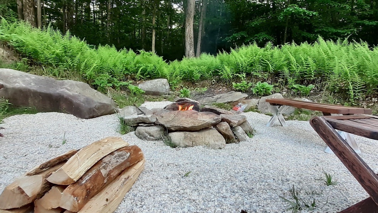 Photo of Outdoor in Sherwood Forest