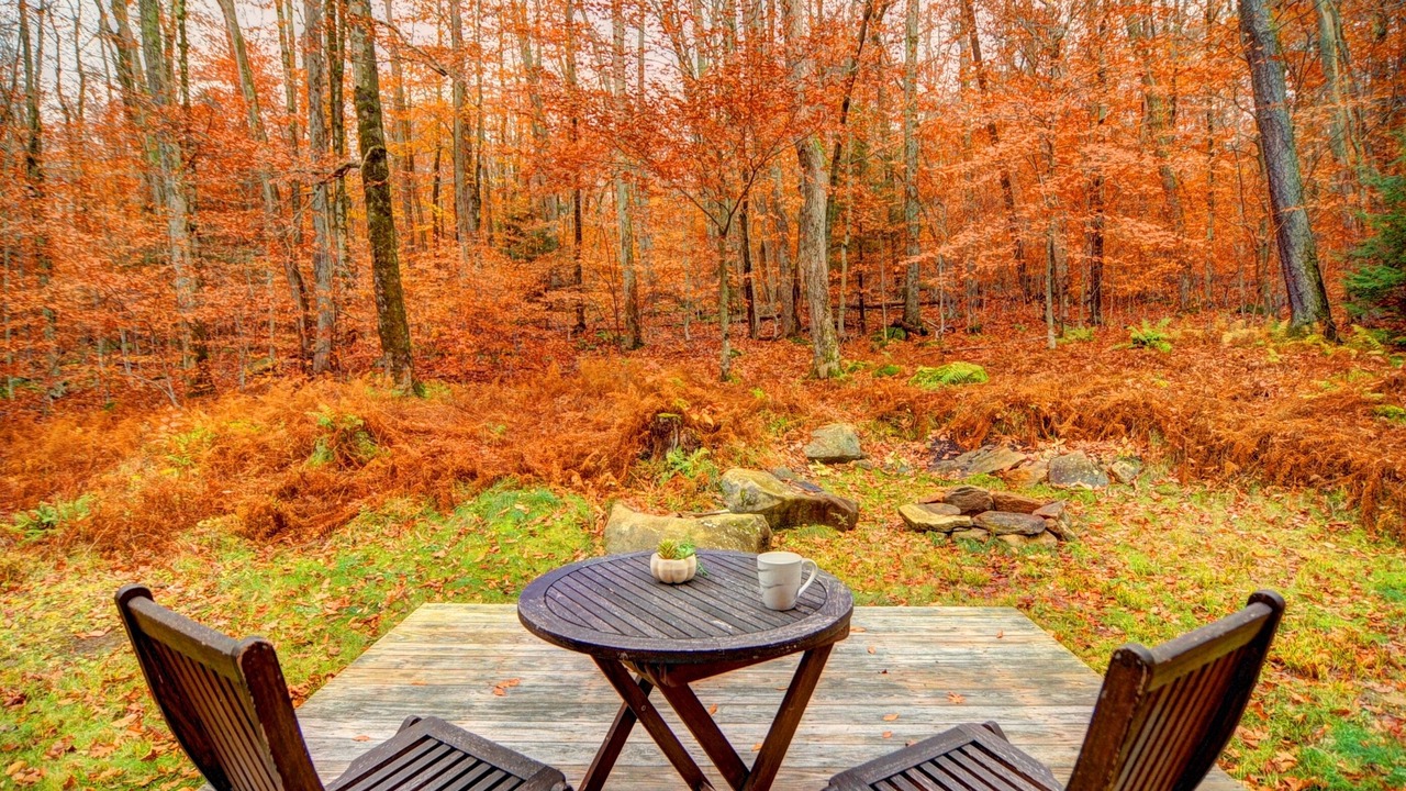 Photo of Outdoor in Sherwood Forest