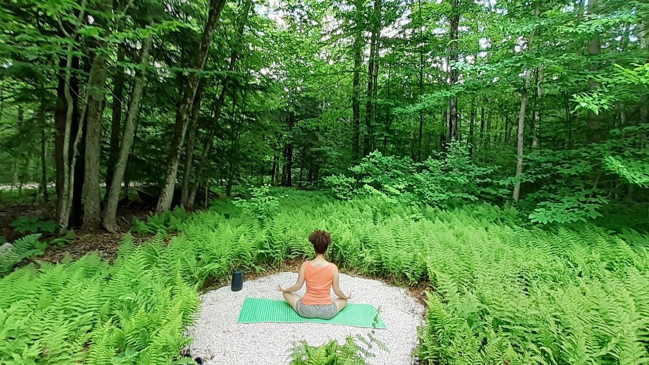 Photo of Outdoor in Sherwood Forest