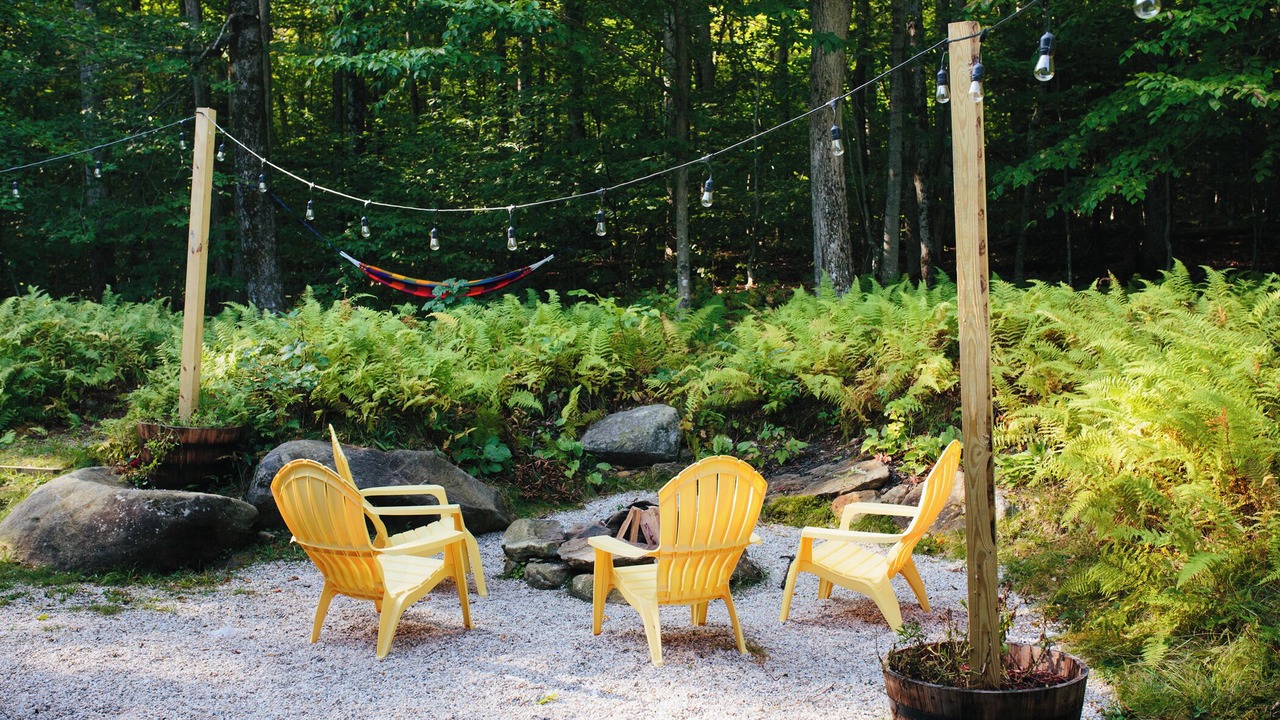 Photo of Outdoor in Sherwood Forest