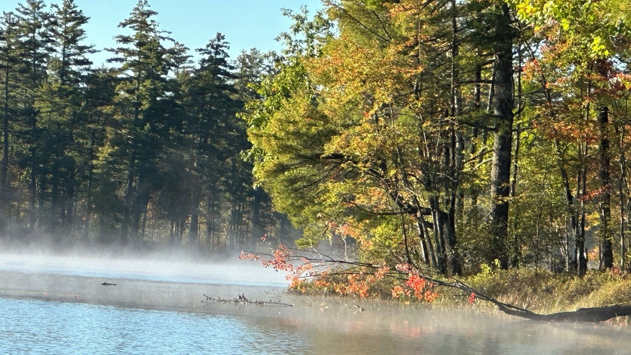 Photo of Outdoor in Newfield