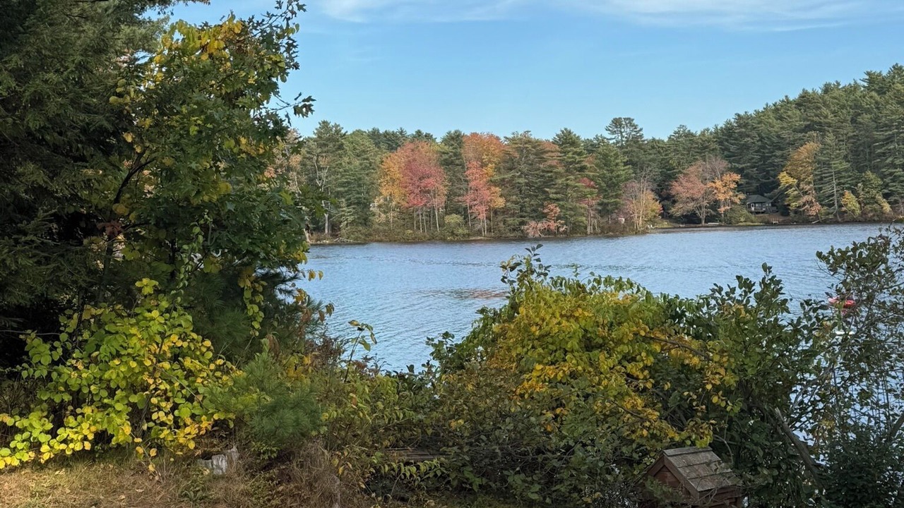Photo of Others in Newfield