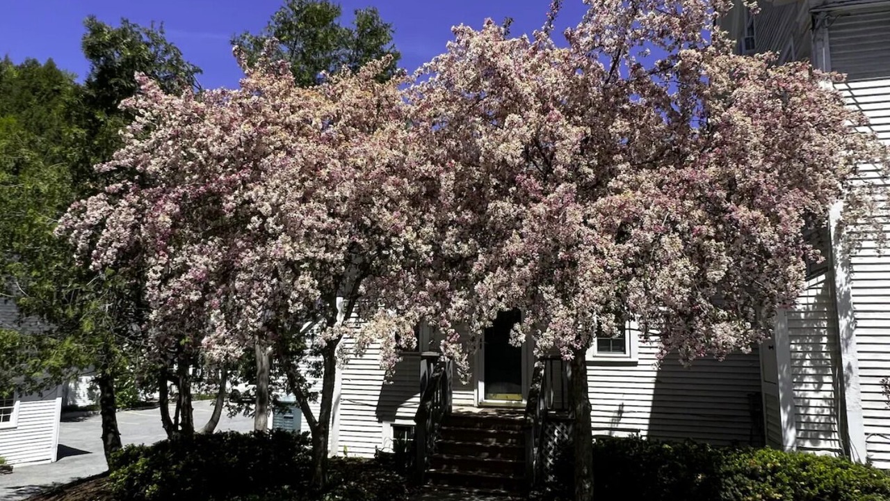 Photo of Outdoor in Stowe Area