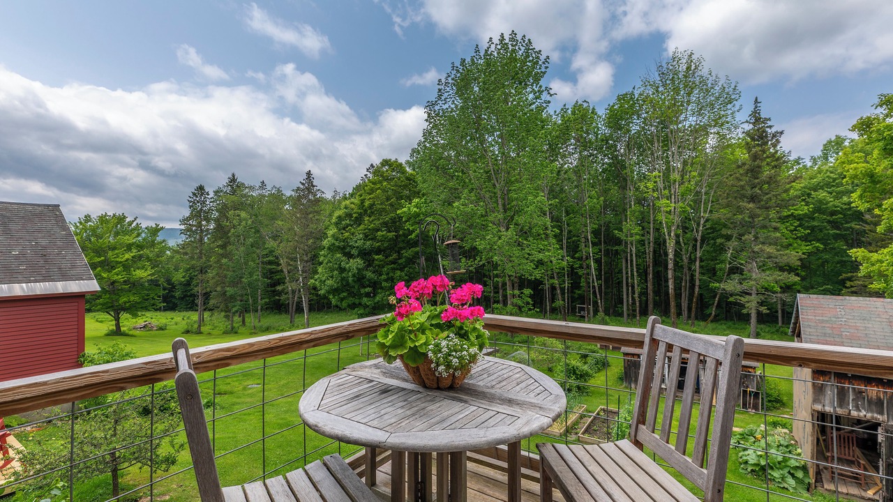 Photo of Outdoor in Dorset