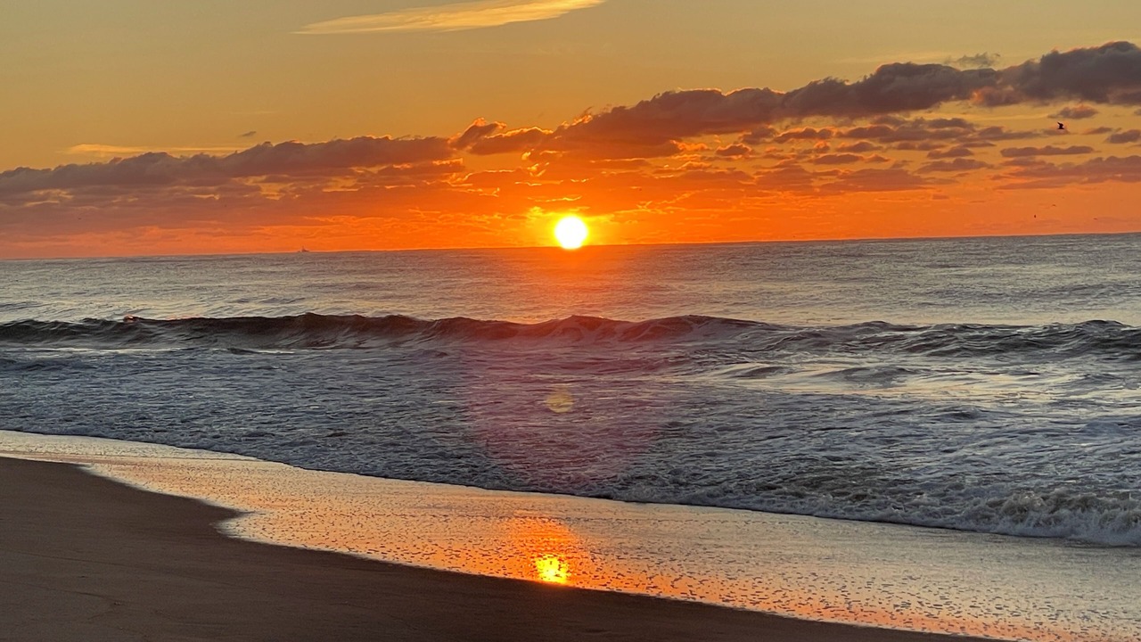 Photo of Others in East Hampton North