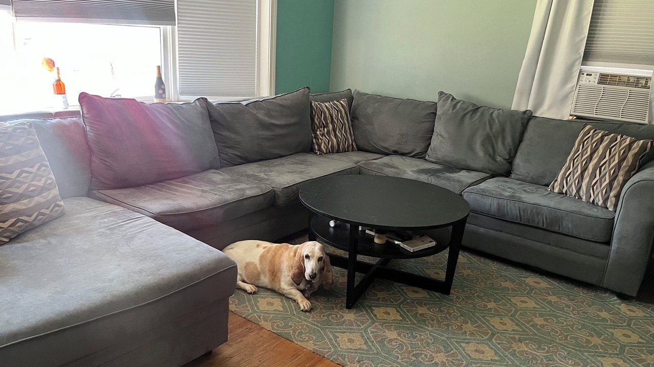 Photo of Livingroom in Stamford