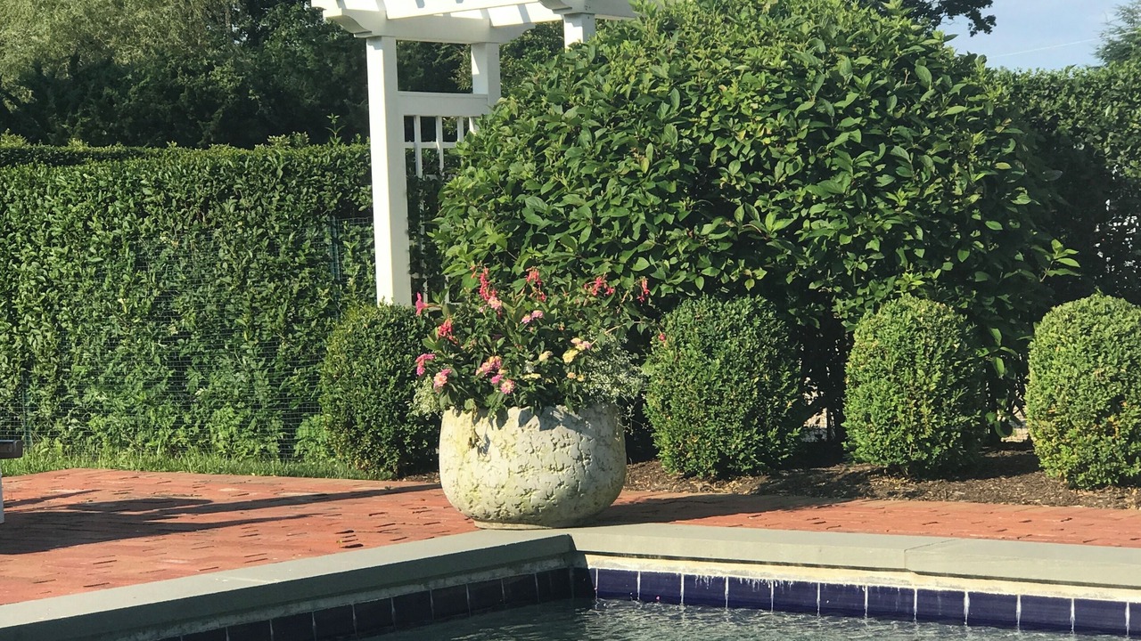 Photo of Outdoor in Bridgehampton