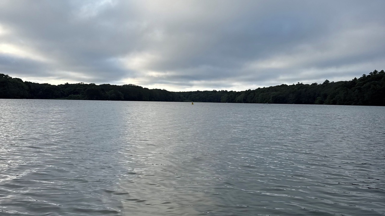 Photo of Others in Mashpee