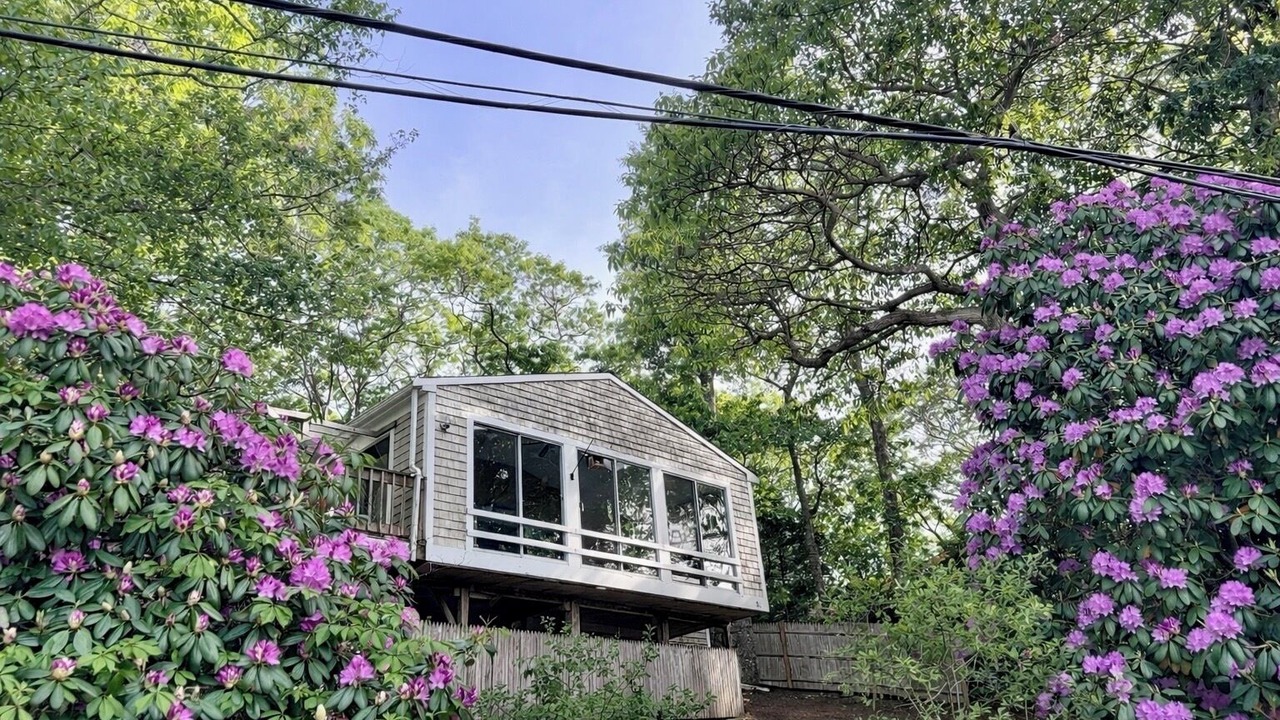 Photo of Outdoor in Mashpee