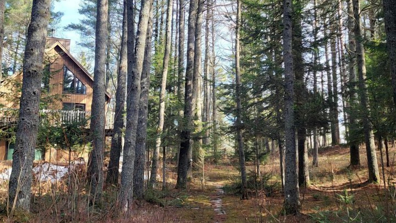 Photo of Outdoor in Meacham