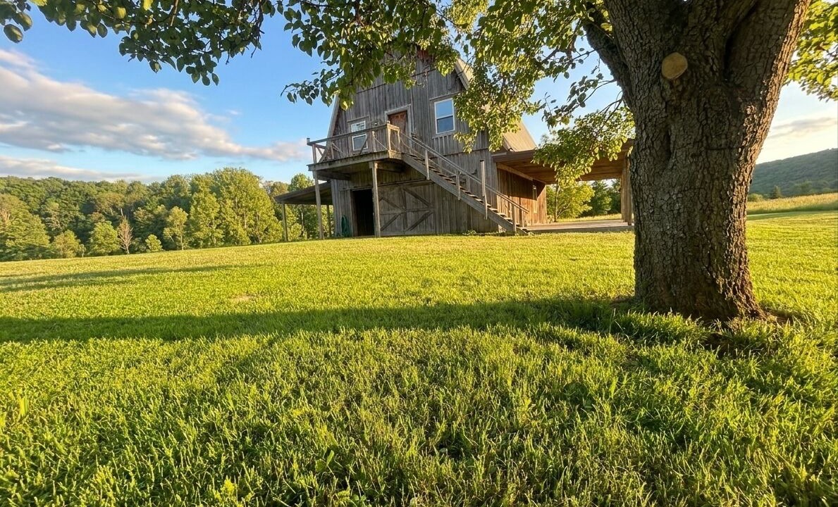Photo of Outdoor in Spencer
