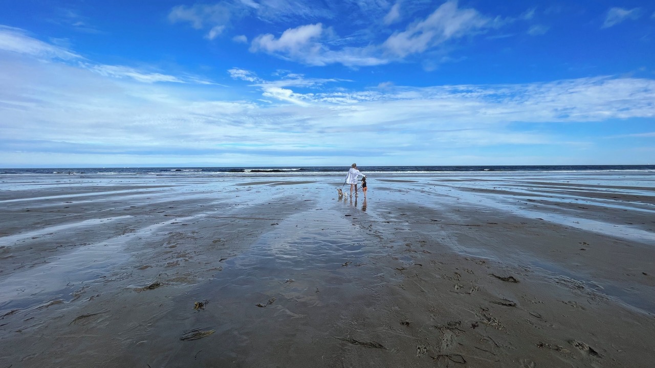 Photo of Others in Ogunquit - Wells