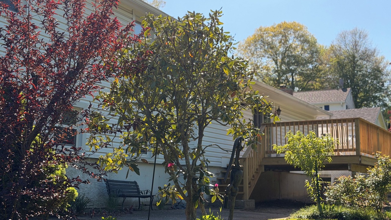 Photo of Outdoor in Wolcott