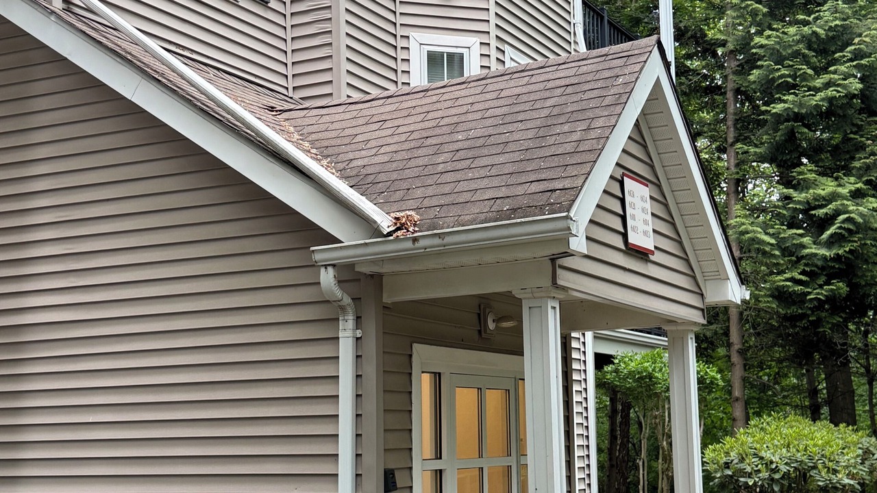 Photo of Outdoor in Orange