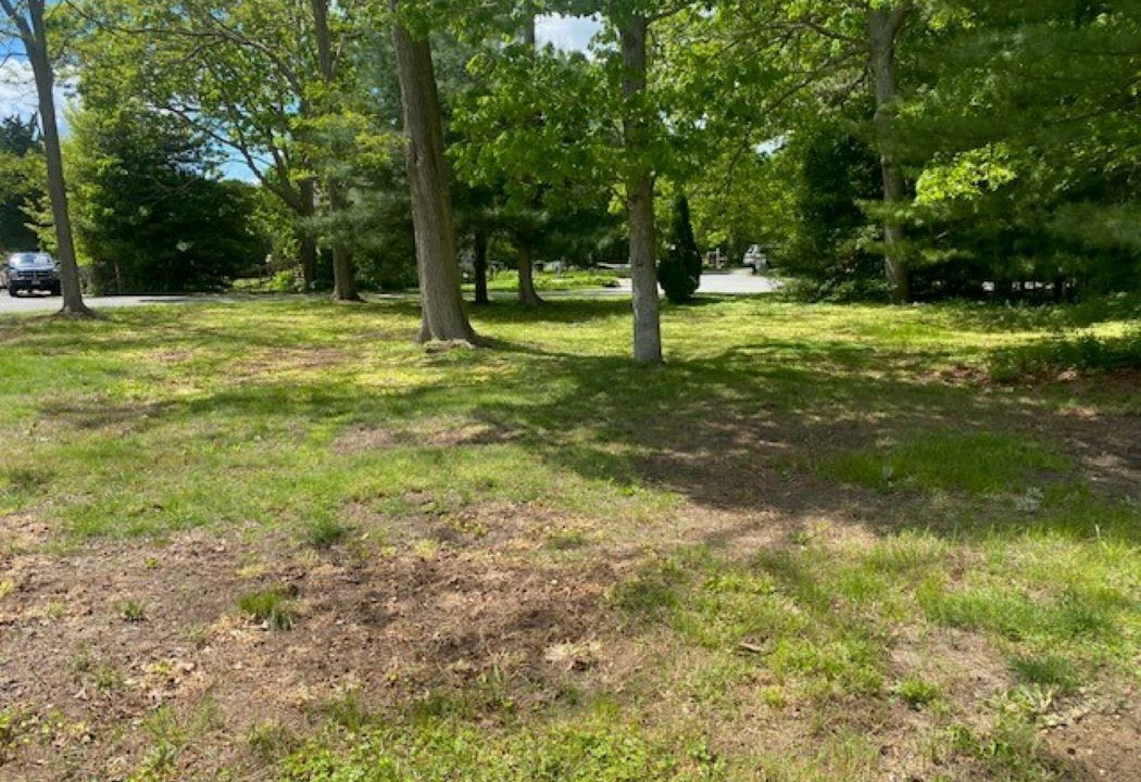 Photo of Others in East Falmouth