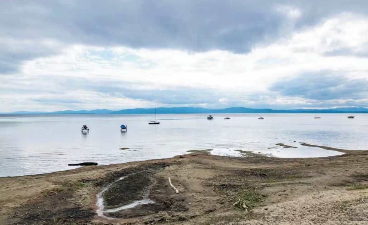 Photo of Others in Malletts Bay