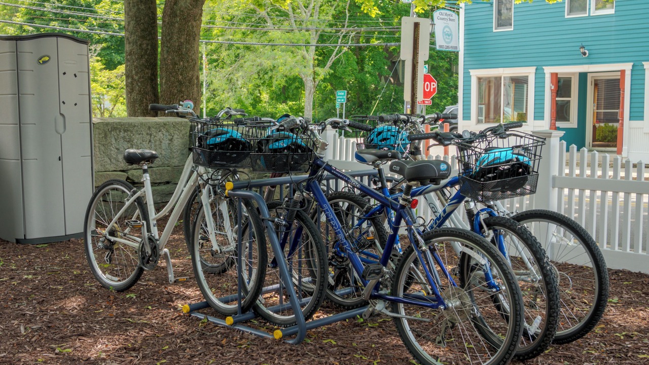 Photo of Others in Stonington