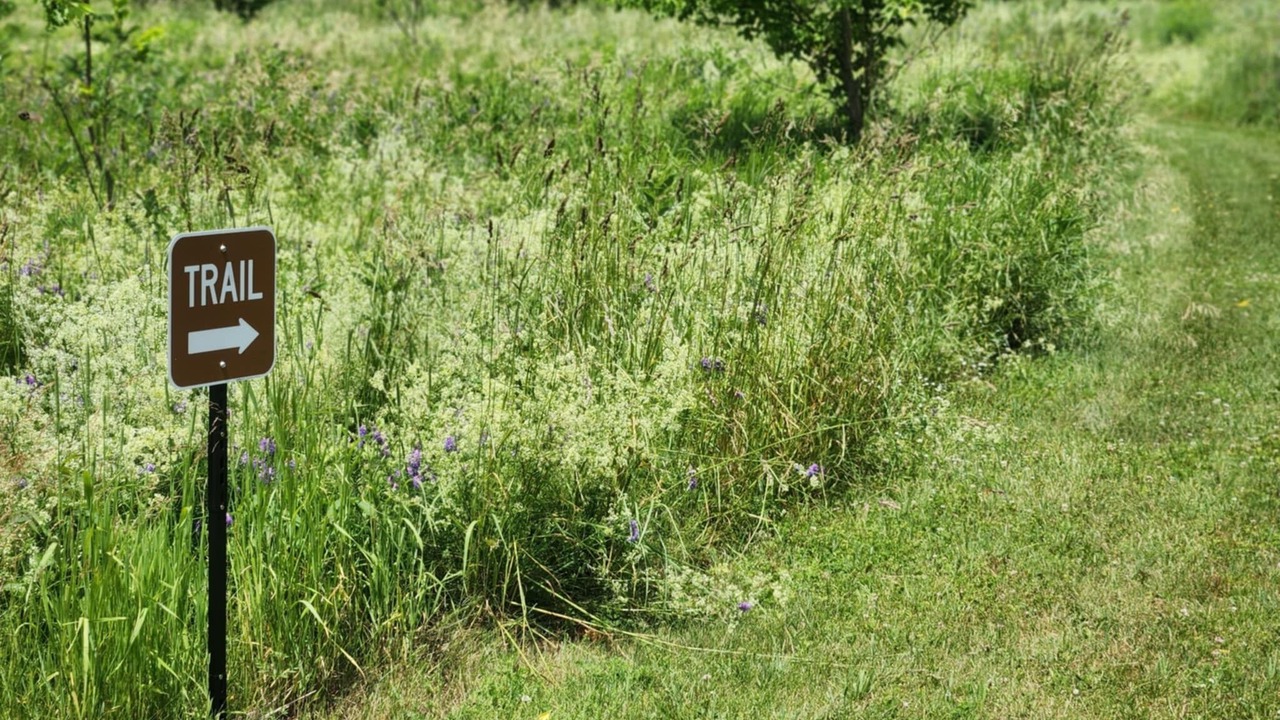 Photo of Outdoor in Mooers Forks