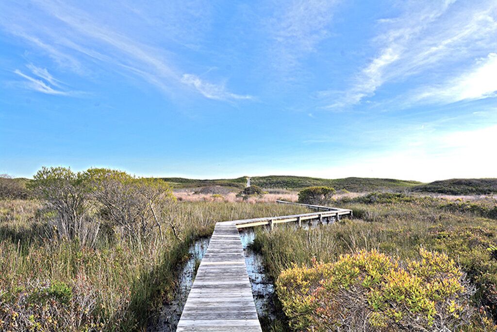 Photo of Others in Aquinnah