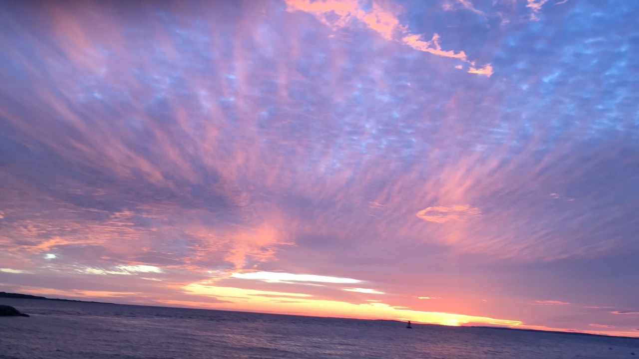 Photo of Others in Menemsha