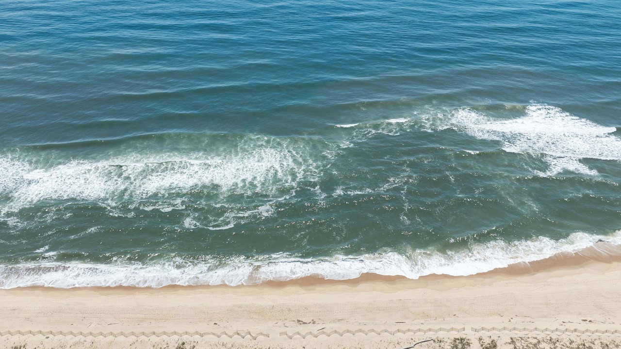 Photo of Others in Montauk