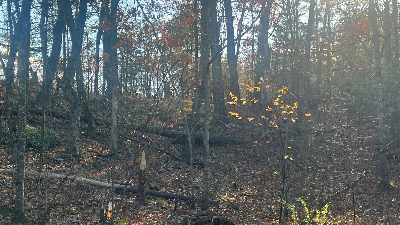 Photo of Others in Catskill