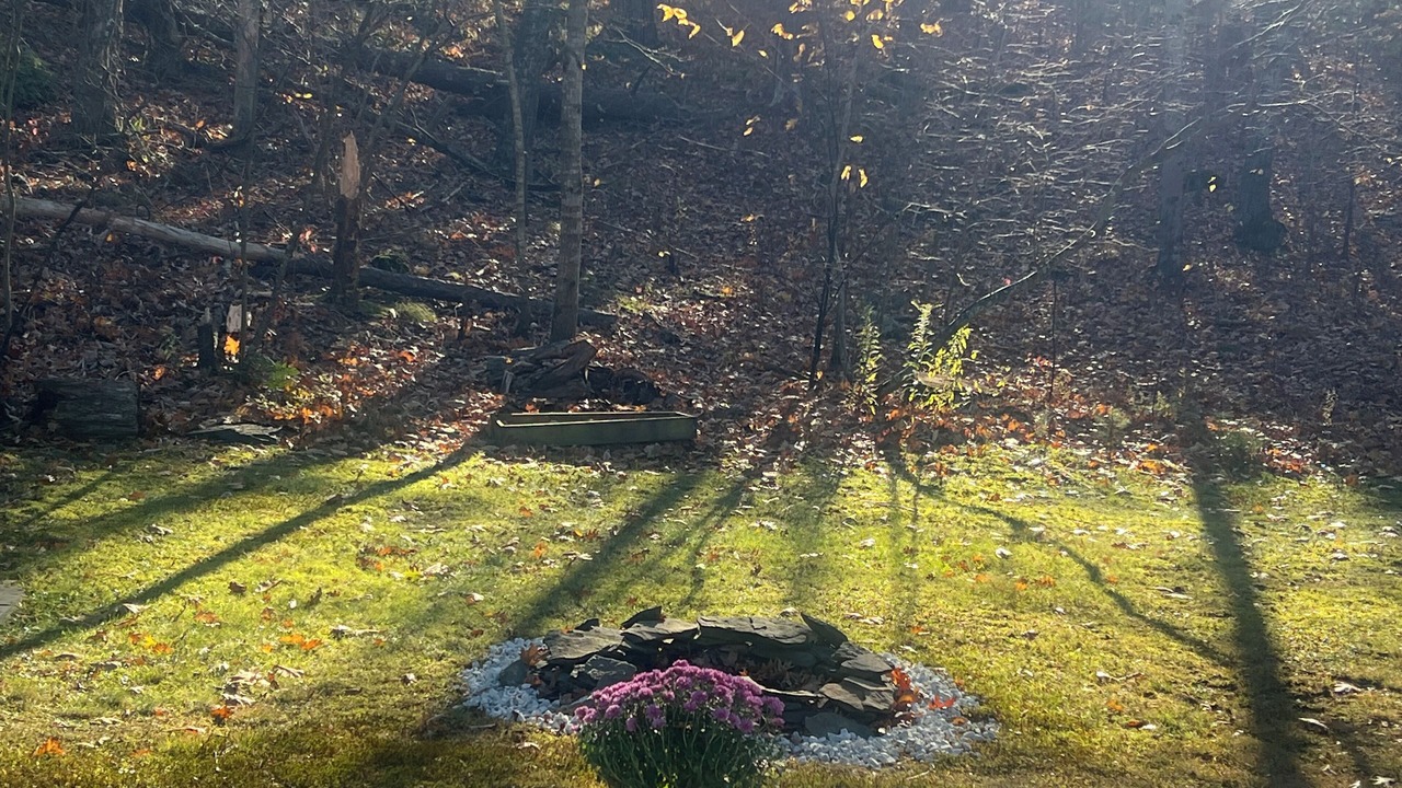 Photo of Outdoor in Catskill