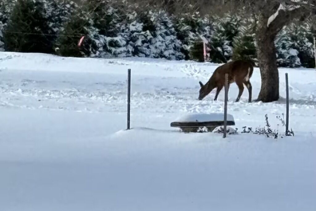 Photo of Others in Windham