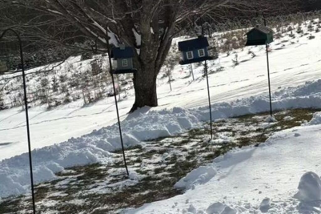 Photo of Others in Windham
