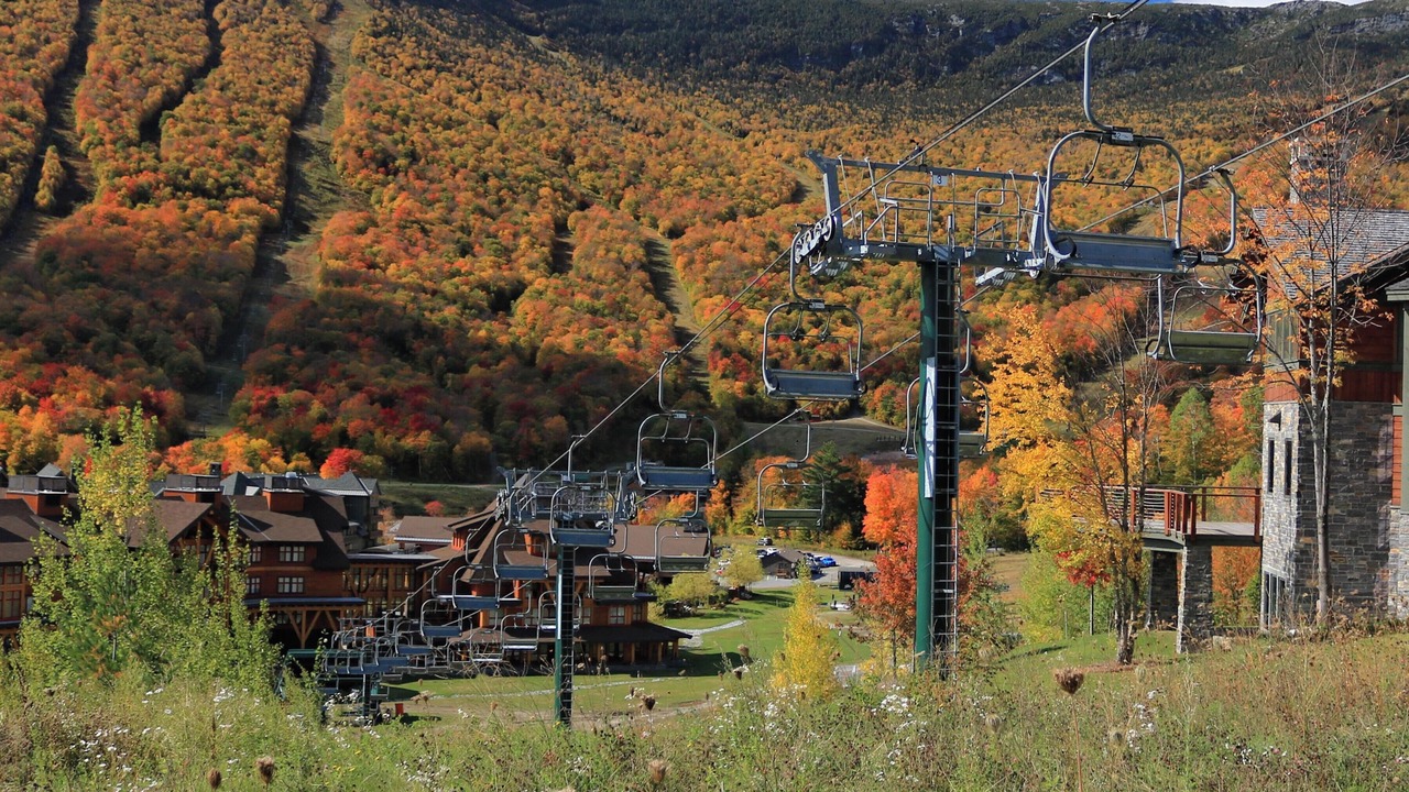 Photo of Others in Stowe Area