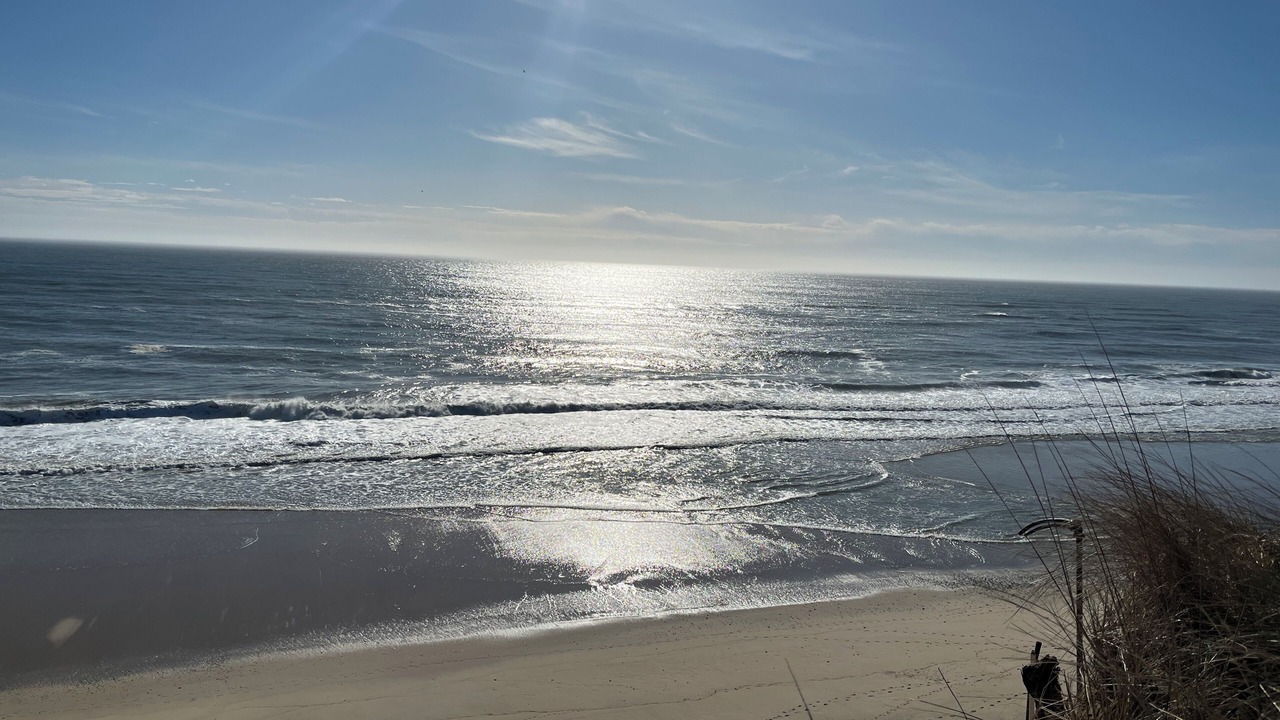 Photo of Others in South Wellfleet